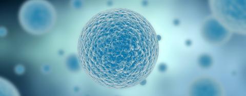 Gide’s Life Sciences & Health Care practice keeps a close eye on all developments relating to medicines policies, legislative reforms, biotechnology or control of medical risks