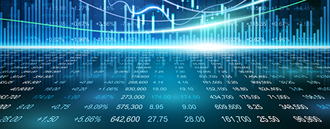 Asset Management & Investment Funds